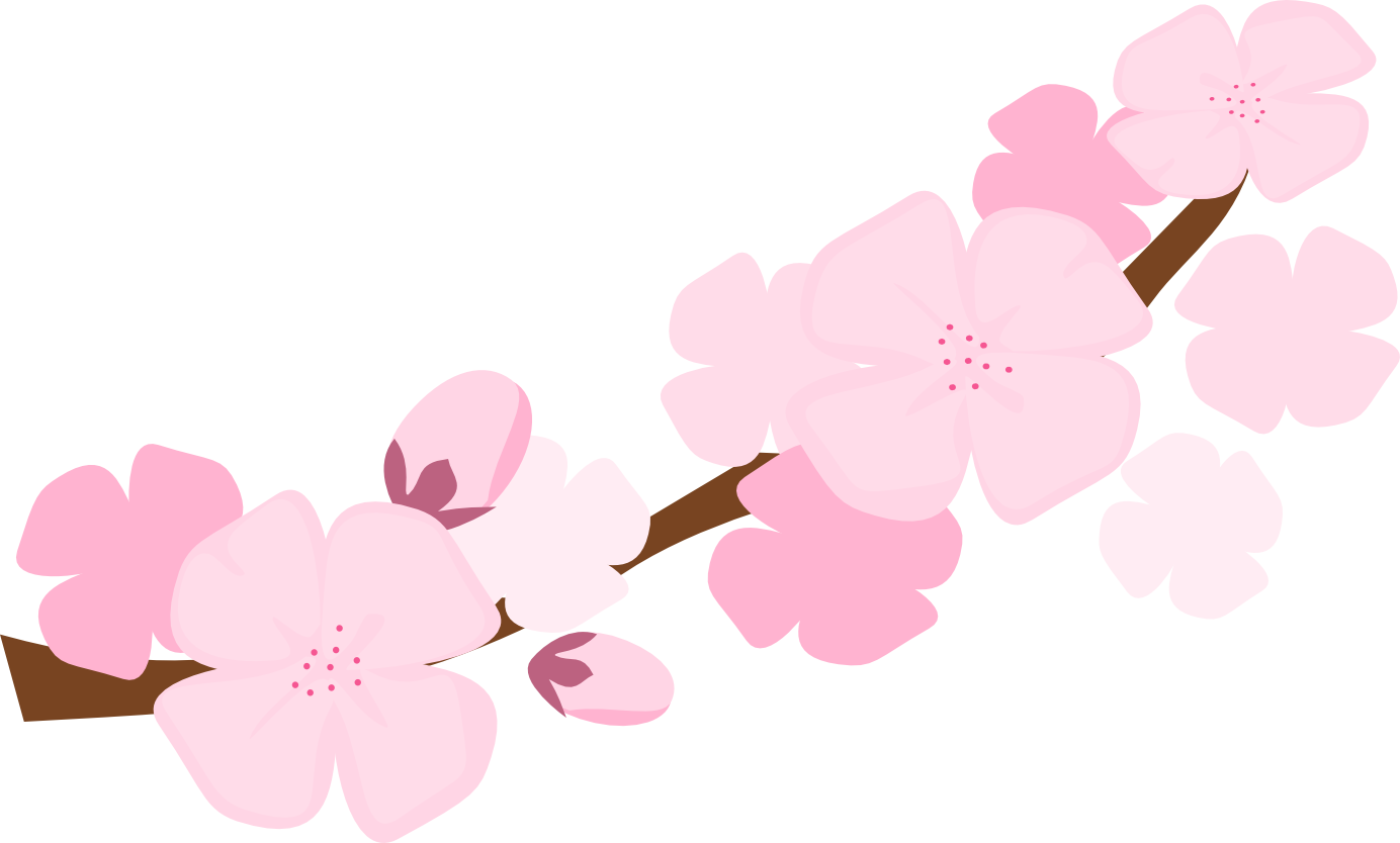 Transparent Cherry Blossom - ClipArt Best