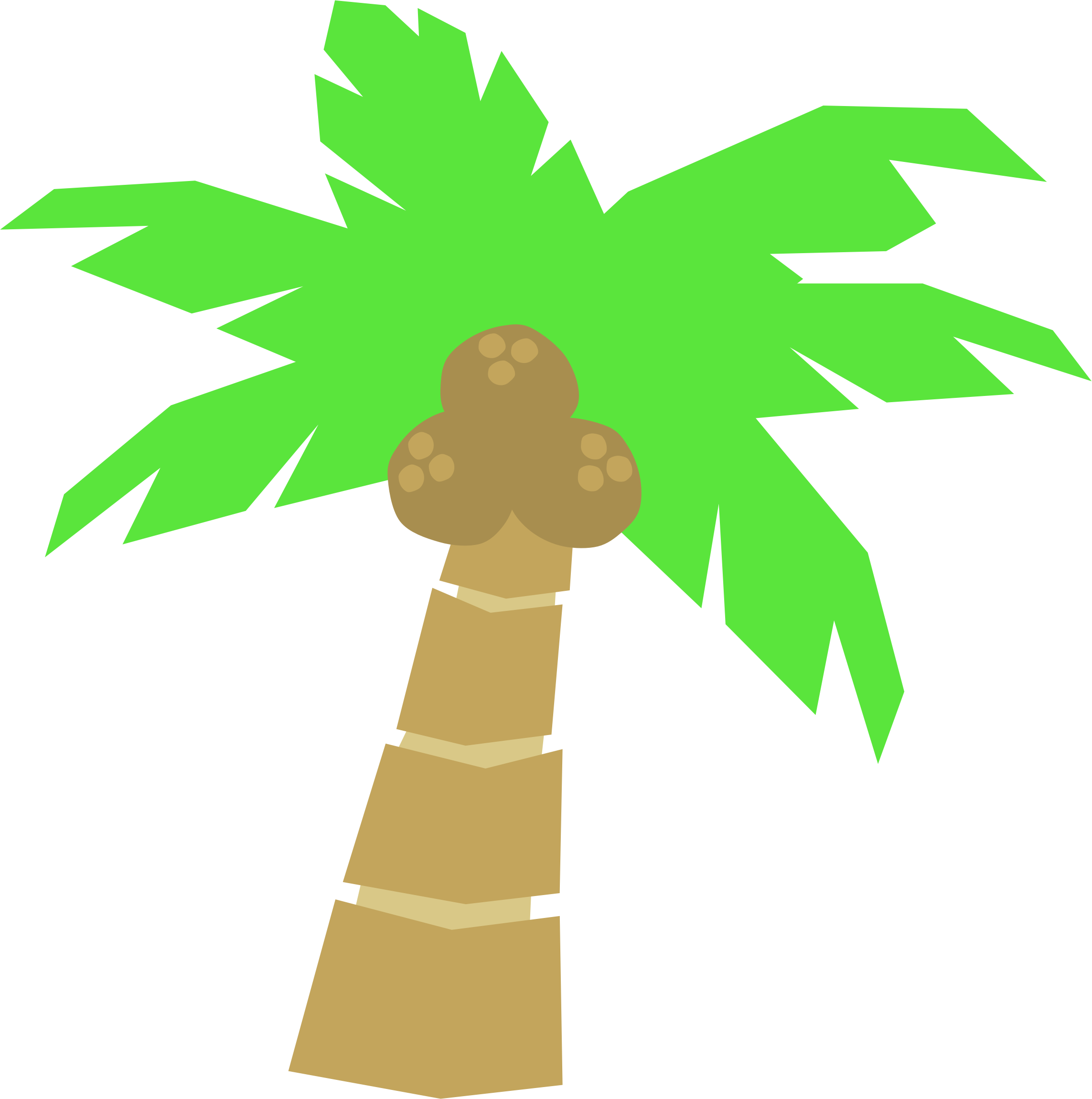 Cartoon palm trees clipart