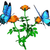 Animated Flowers And Butterflies - ClipArt Best
