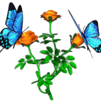 Animated Flowers And Butterflies - ClipArt Best Animated Flowers And Butterflies - ClipArt Best