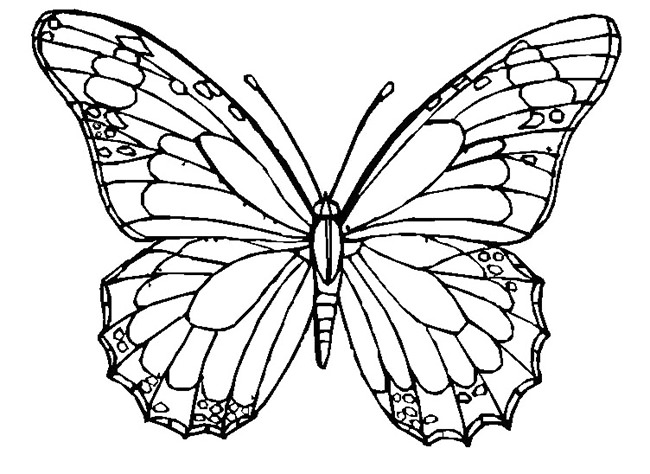 30+ Butterfly Templates – Printable Crafts & Colouring Pages ...
