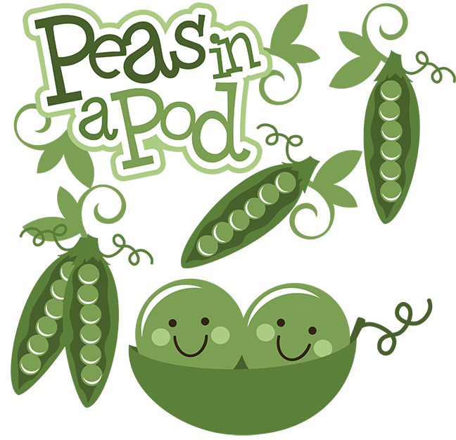 Pea Pod Picture | Free Download Clip Art | Free Clip Art | on ...