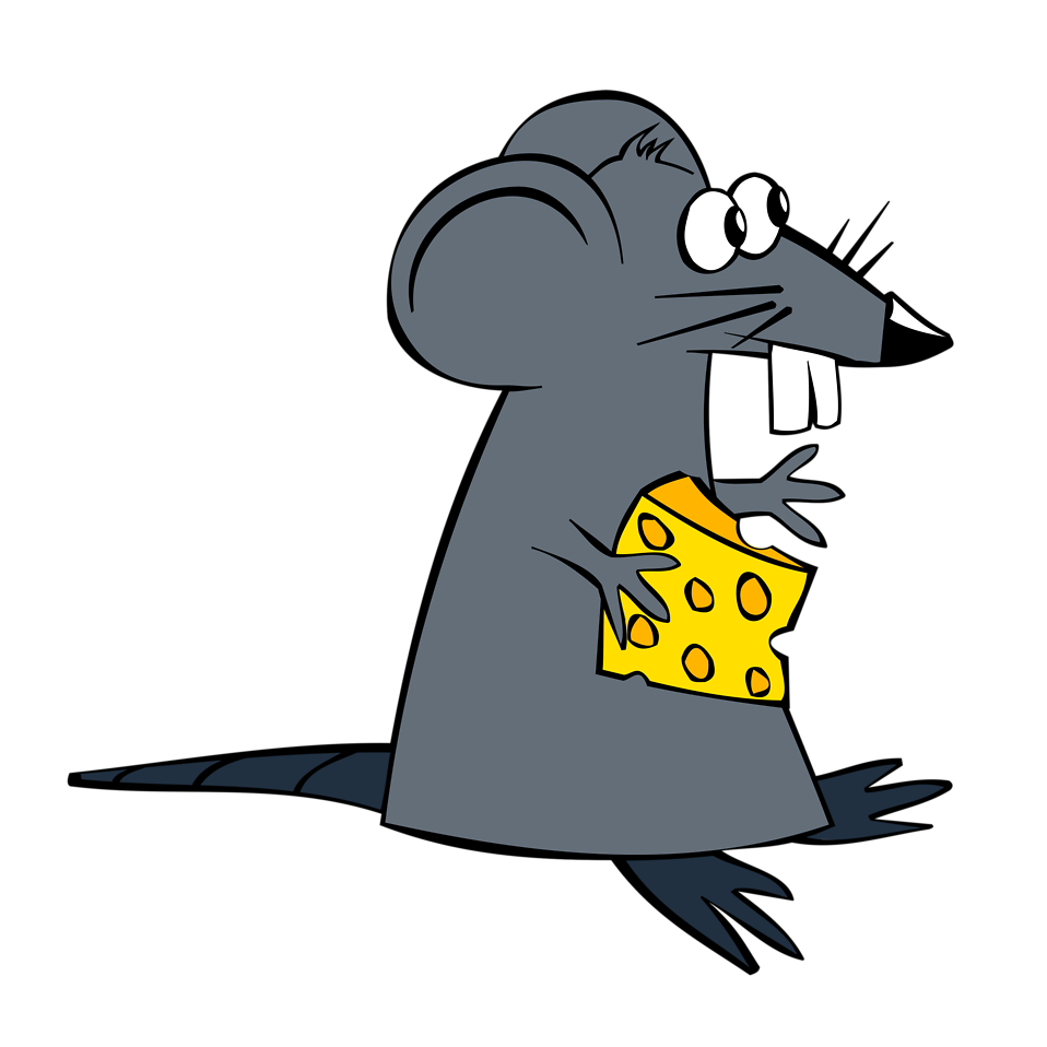 Rat clipart transparent