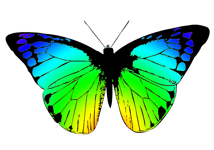 Butterfly Clipart