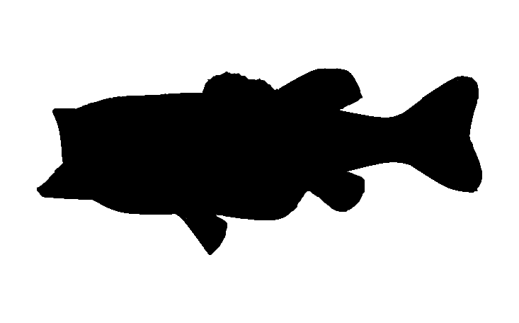 Bass fish clipart black and white - ClipartFox