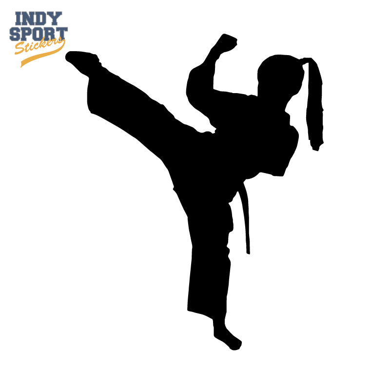 Martial Arts Karate Female Girl Kicking Silhouette - Indy Sport ...