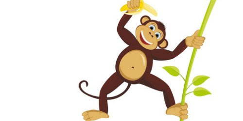 Tuesday Tips: Monkey Climb - Aerial Amy