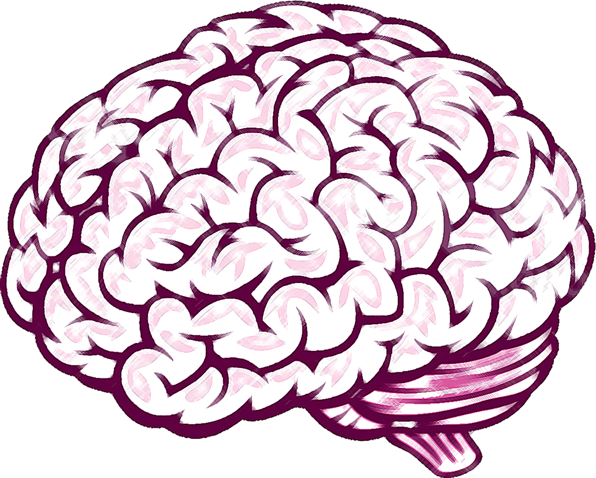 Brain Drawings ClipArt Best
