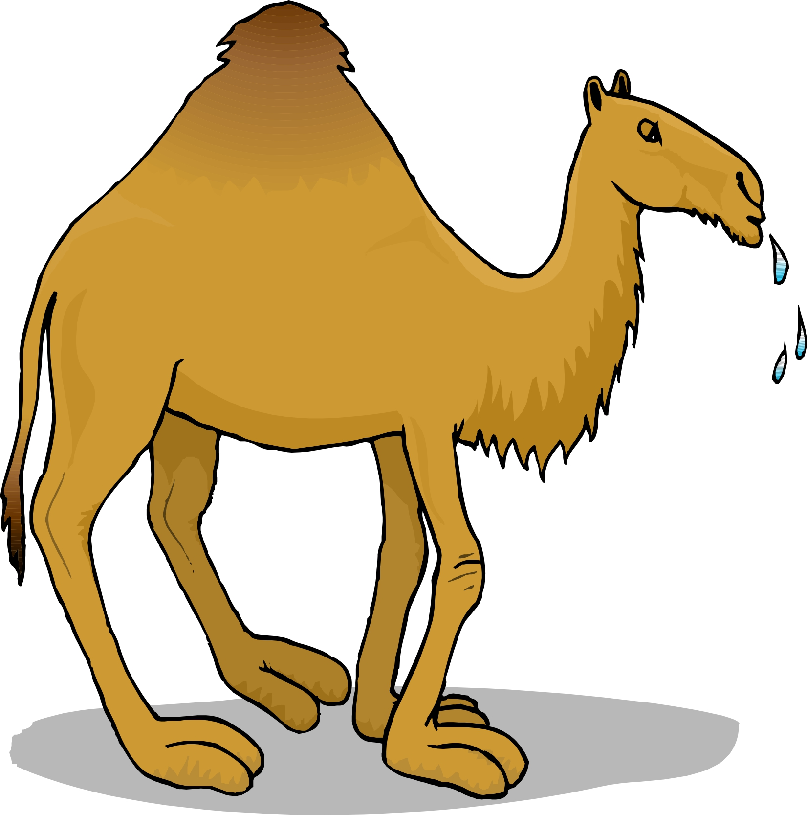 Cartoon Camel