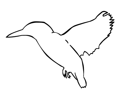 Birds Drawing Outlines - ClipArt Best