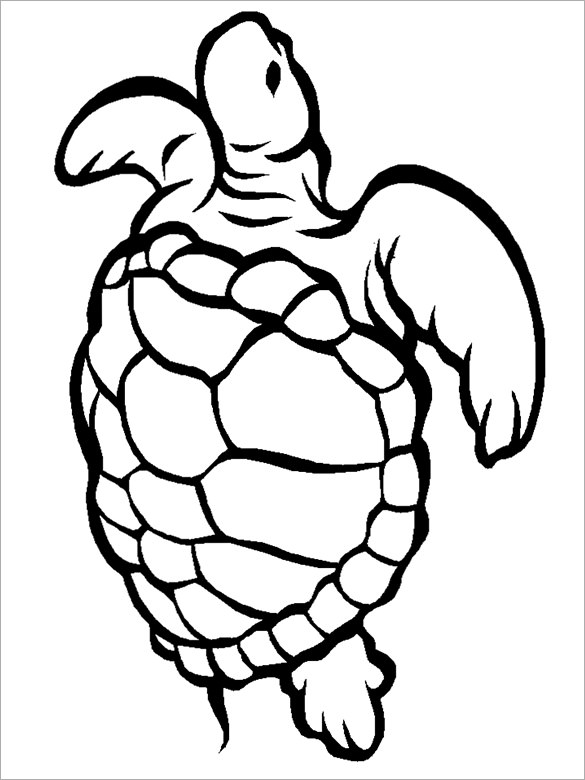 Turtle Template ClipArt Best