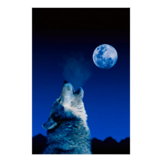 Howling At The Moon Posters | Zazzle