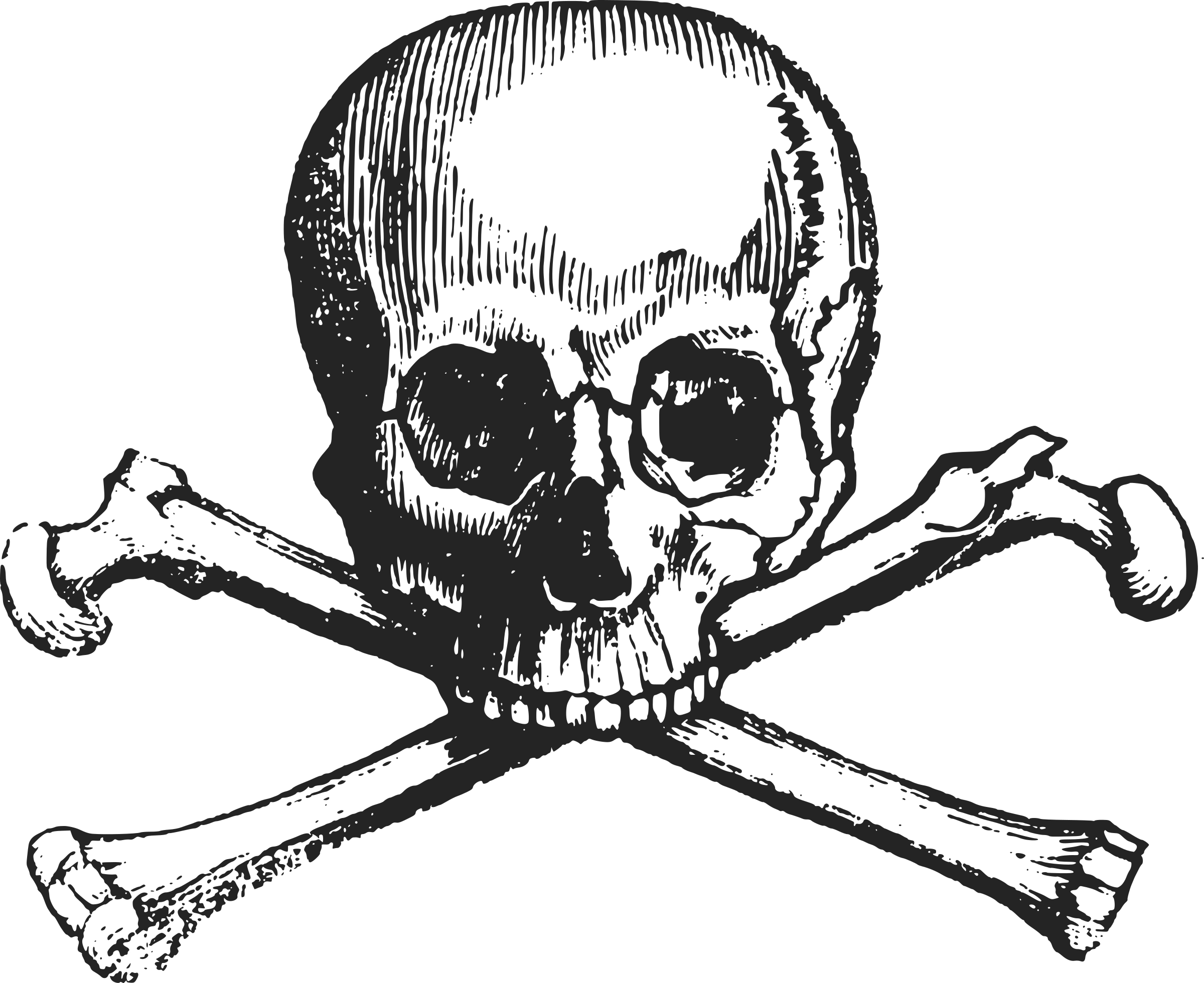 Clipart - Skull and Cross Bones