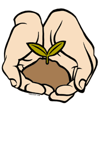 Seed clipart images