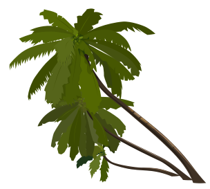 Animated Palm Tree Gif