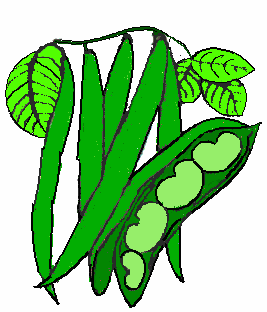 Free clipart green beans