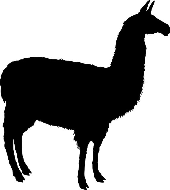 Llama Images