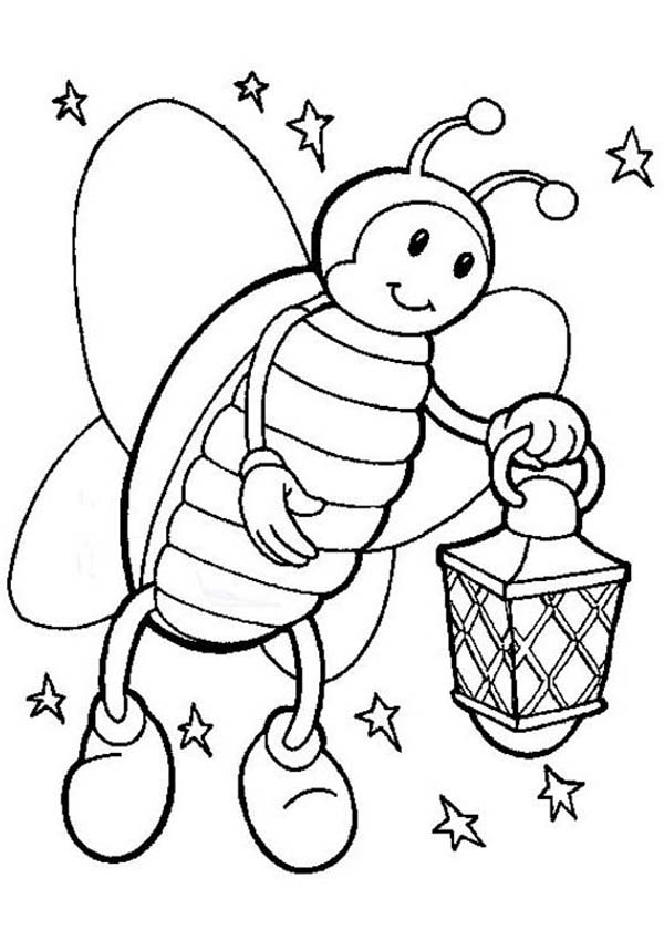 Firefly on Starry Night Hold a Lamp Coloring Page | Color Luna
