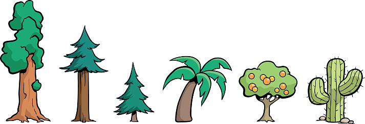 Redwood Tree Clip Art, Vector Images & Illustrations