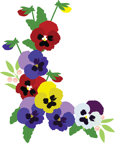Pansy Clip Art, Vector Images & Illustrations