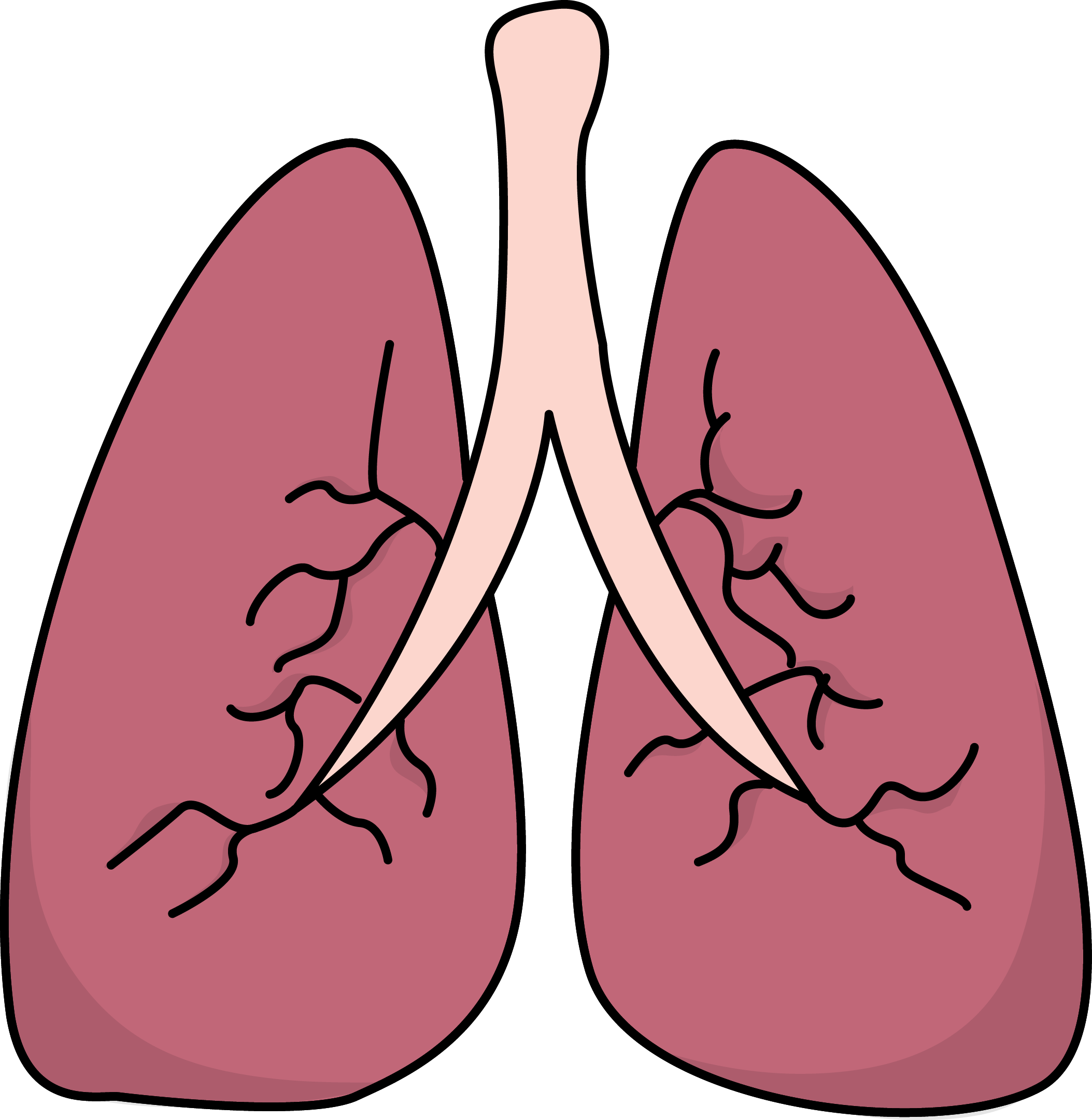 Lungs Clipart - Tumundografico