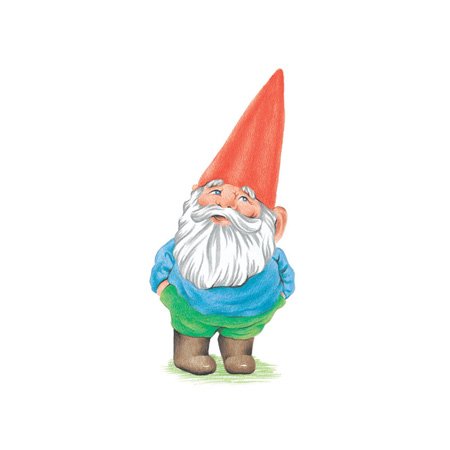 3dRose Lsp_123988_6 Gnome Garden Gnome Cartoon 2 Plug Outlet Cover ...