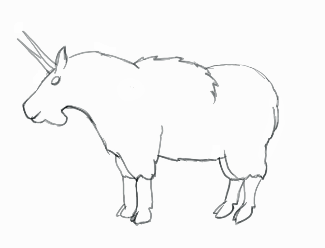 How To Draw a Mountain Goat - Step-by-Step