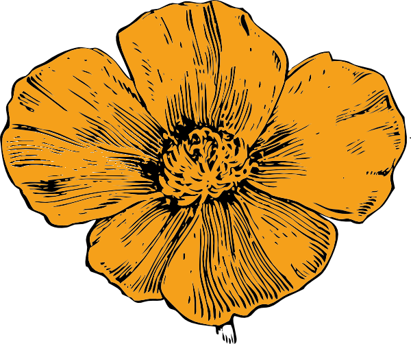 California Golden Poppy clip art - vector clip art online, royalty ...