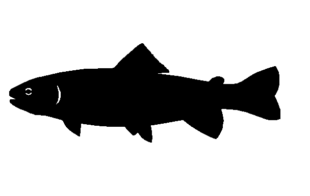 fish silhouette clip art free - photo #46