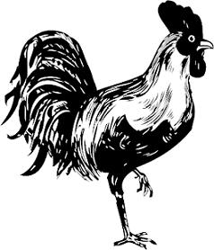 Free Rooster Clipart