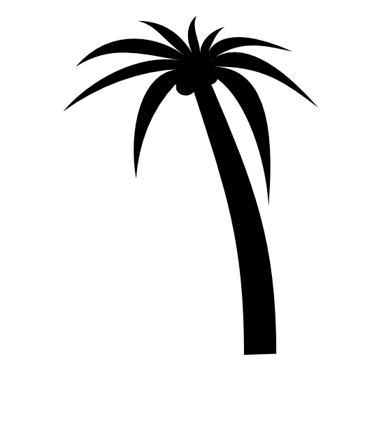 Plant Palmtree b r Kessels SVG Scalable Vector Graphics xochi.info ...