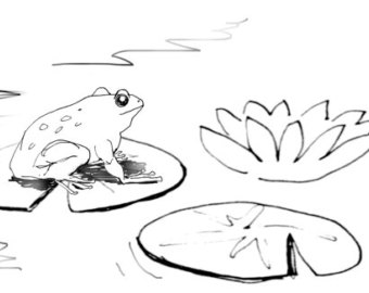 frog lily pad