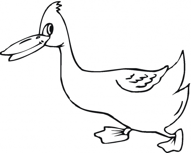 Duck 3 coloring page | Super Coloring