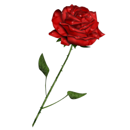 Red Rose Graphics - ClipArt Best