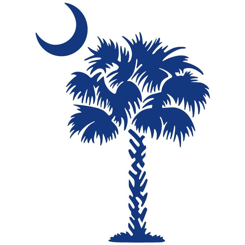 Pix For > Palmetto Tree Flag