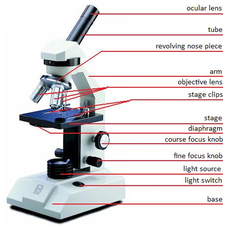 Parts of microscope clipart