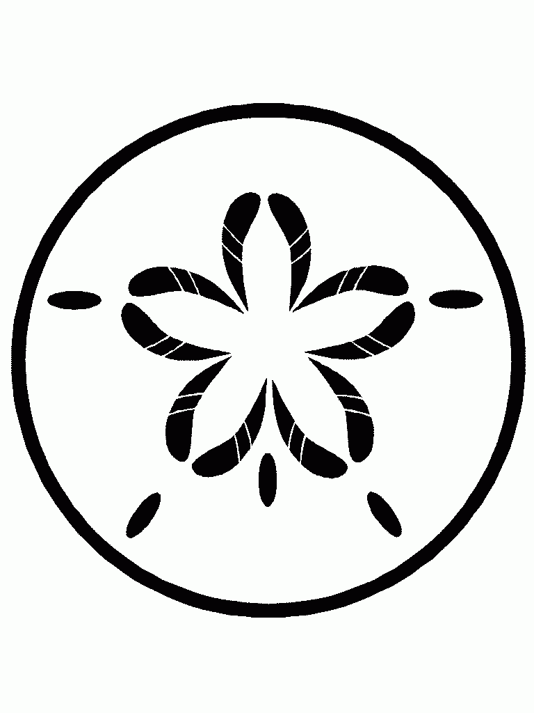 Best Sand Dollar Clip Art #8012 - Clipartion.com