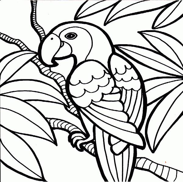 Cool Coloring Pages - ClipArt Best