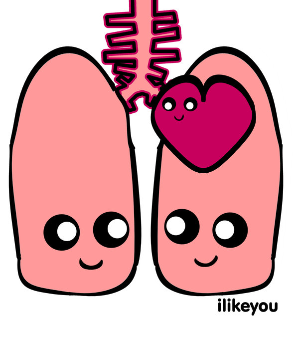 heart and lungs animation Gallery - ClipArt Best - ClipArt Best