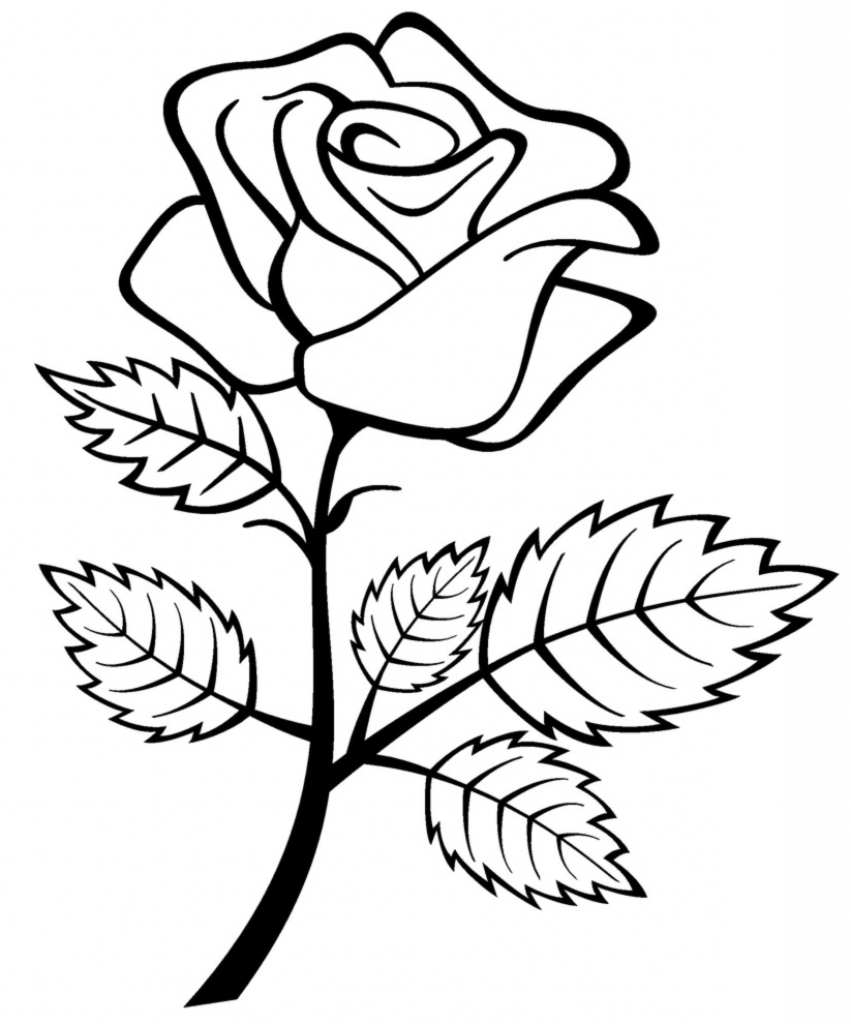 Rose Drawing For Kids - Drawing Art Gallery