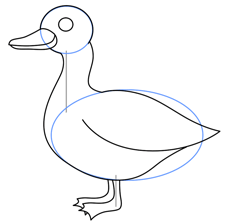 Drawing Cartoon Ducks