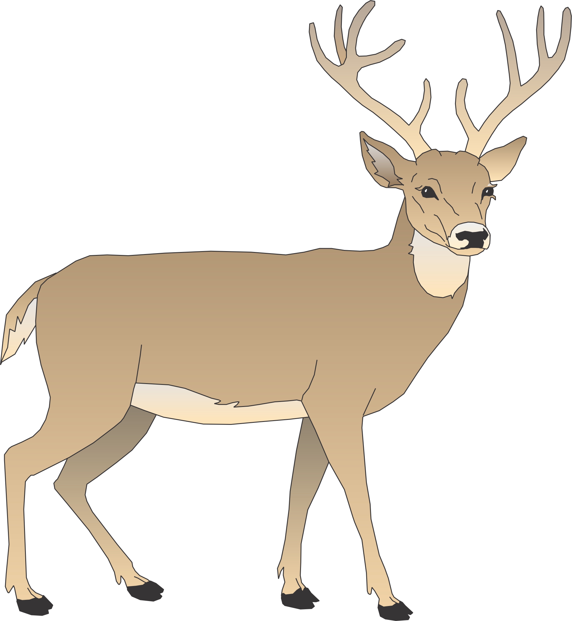 Cartoon Pictures Of Deer | Free Download Clip Art | Free Clip Art ...