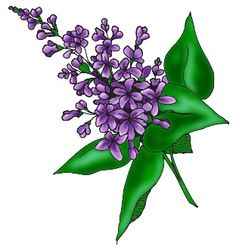 Lilac Clipart | Free Download Clip Art | Free Clip Art | on ...