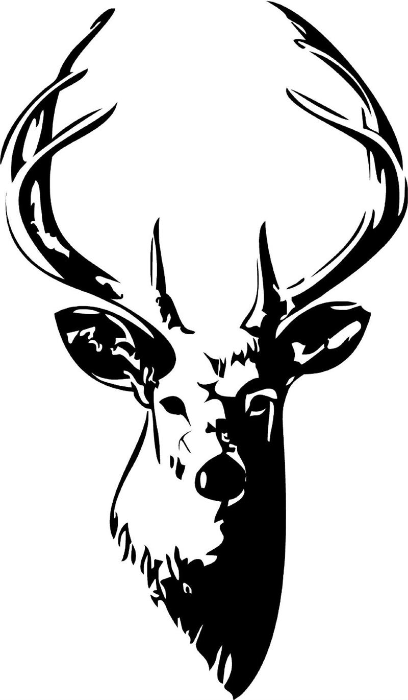 Best Photos of Deer Head Drawings - Deer Head Clip Art, Deer Head ...