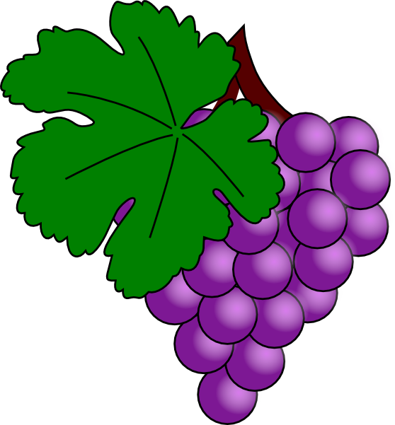 grapevine border clipart free - photo #47