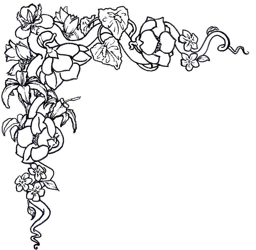 clipart flowers black and white borders - photo #3