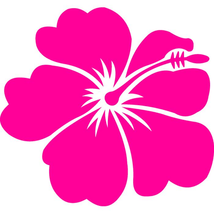 free tropical flower clipart - photo #9