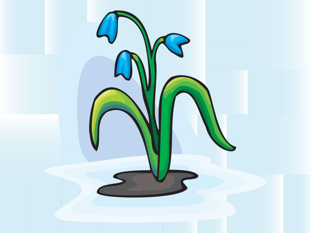 This cartoon style flower sits on an abstract background. It this flower blooming or wilting? You decide in your custom design or illustration.