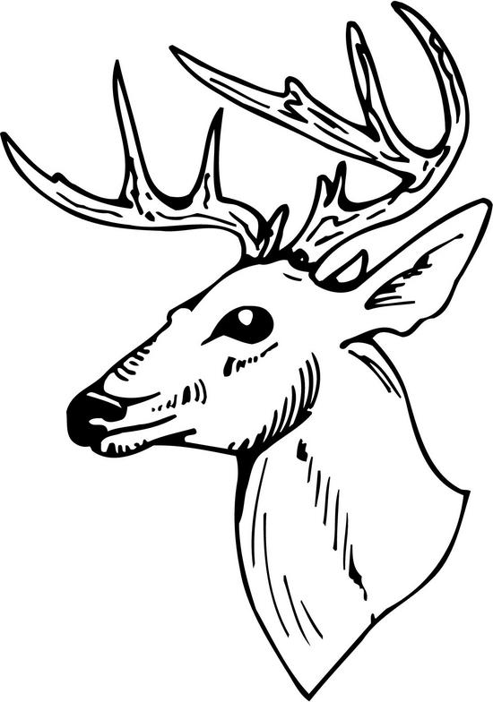 Deer Clip Art Free