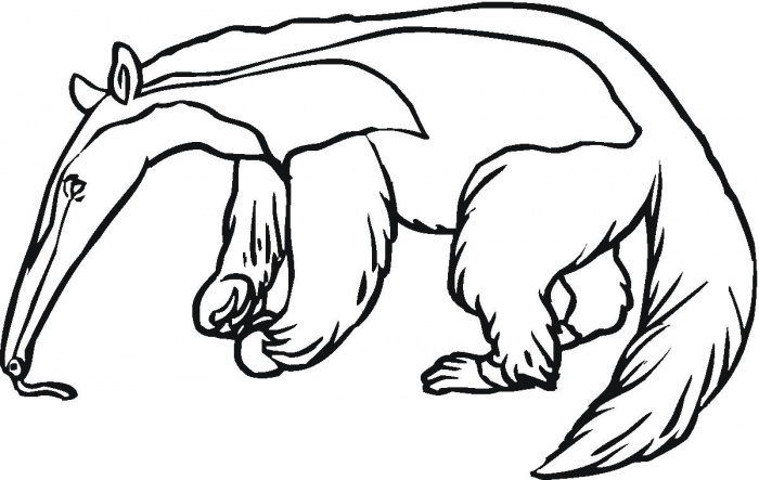aardvark coloring pages - photo #19